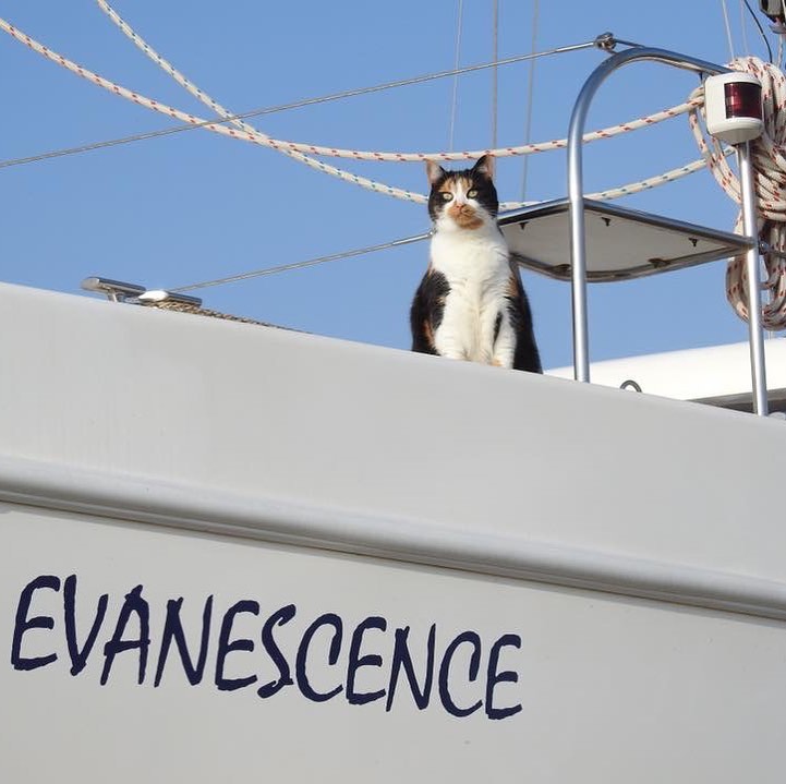 Jessie sailing on board Evanescence