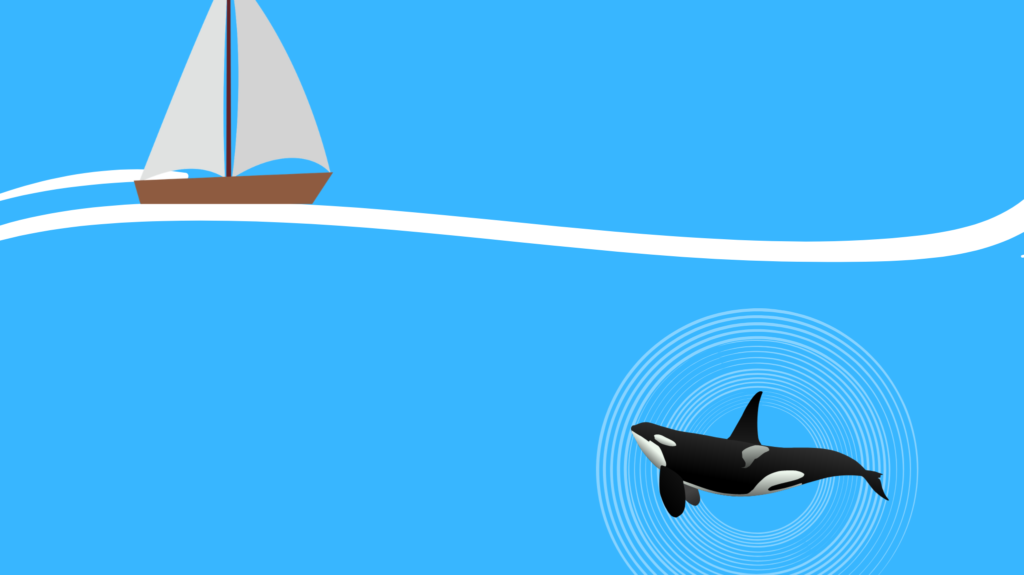 Why do Orcas “attack” boats?
