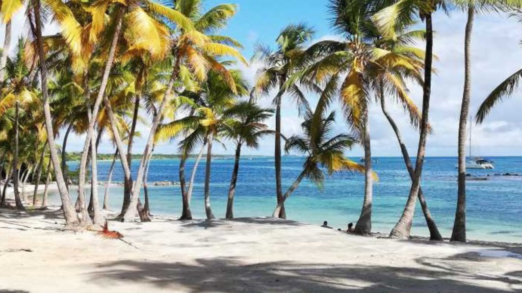 The best anchorages of Guadeloupe: Anse du Mancenillier